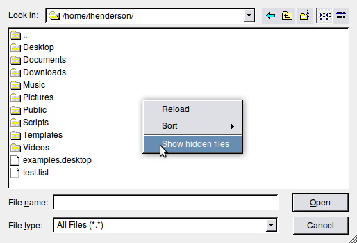 Screenshot-Open show hidden files.png